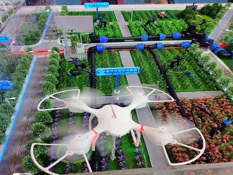 ɳ��ģ������